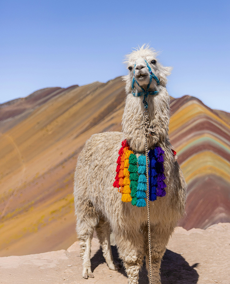 LA MAGIA DE LOS INCA EN PERU 1,327